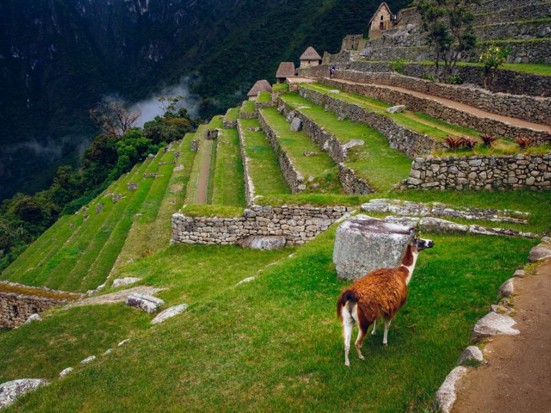 Lodge Salkantay Sky Domes 5 días y 4 noches