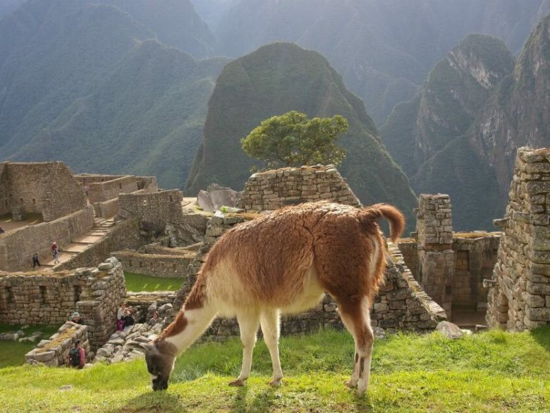 Salkantay Trek Low Cost Retorno Hidroeléctrica