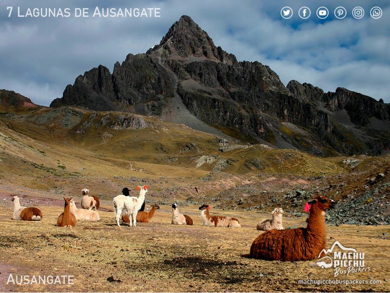 Tour 7 Lagunas de Ausangate Cusco