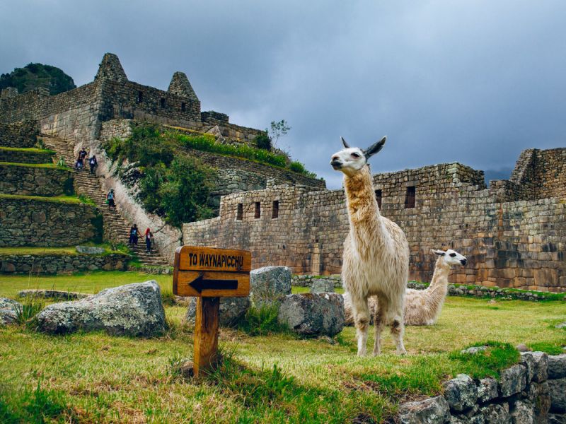 Tour Machu Picchu por Tren 2 Días y 1 Noche