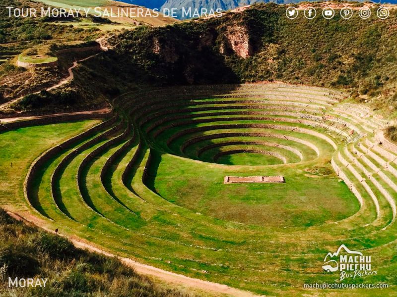 Tour a Moray y Minas de Sal de Maras 1/2 Día